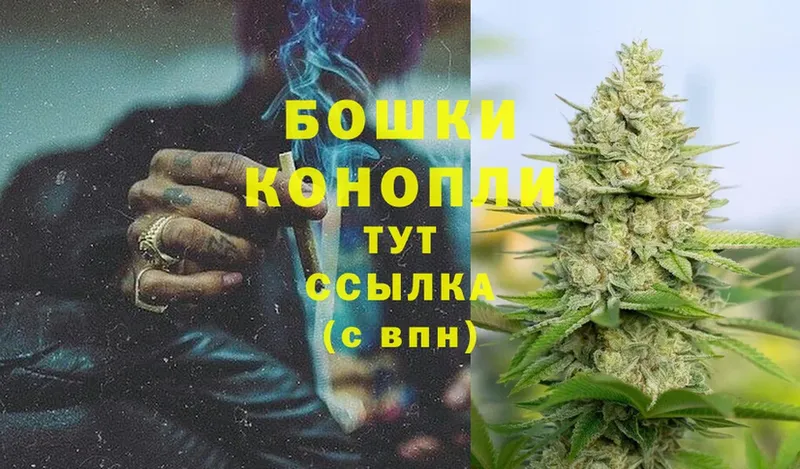 Бошки марихуана SATIVA & INDICA  Богучар 